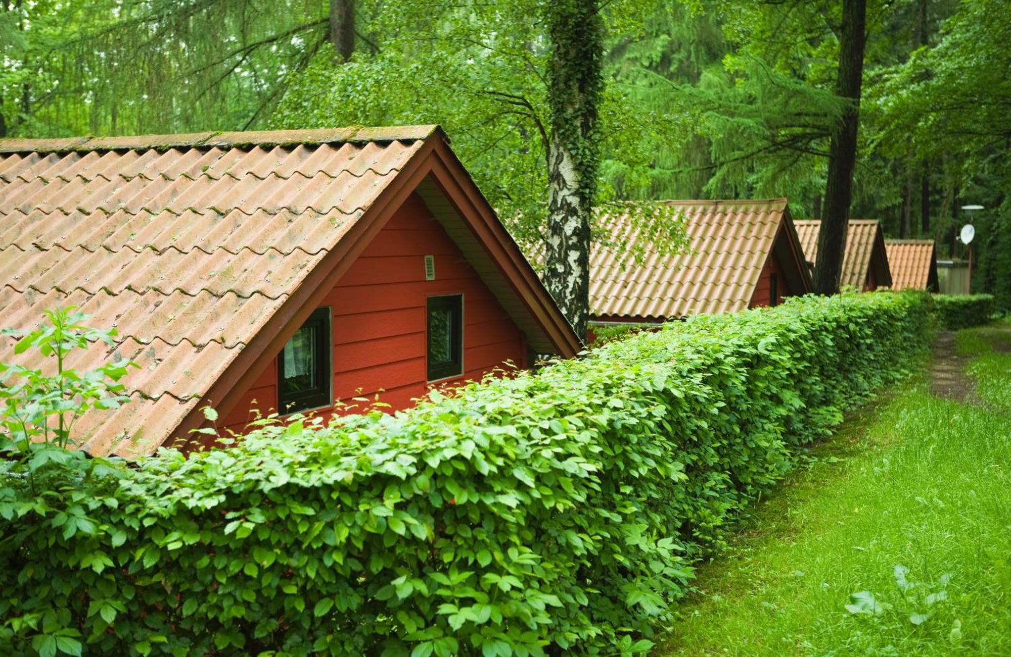 Waldidylle - Bungalows An Der Talsperre Kriebstein Bagian luar foto